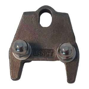 Lancy rotor securing plate with bolts